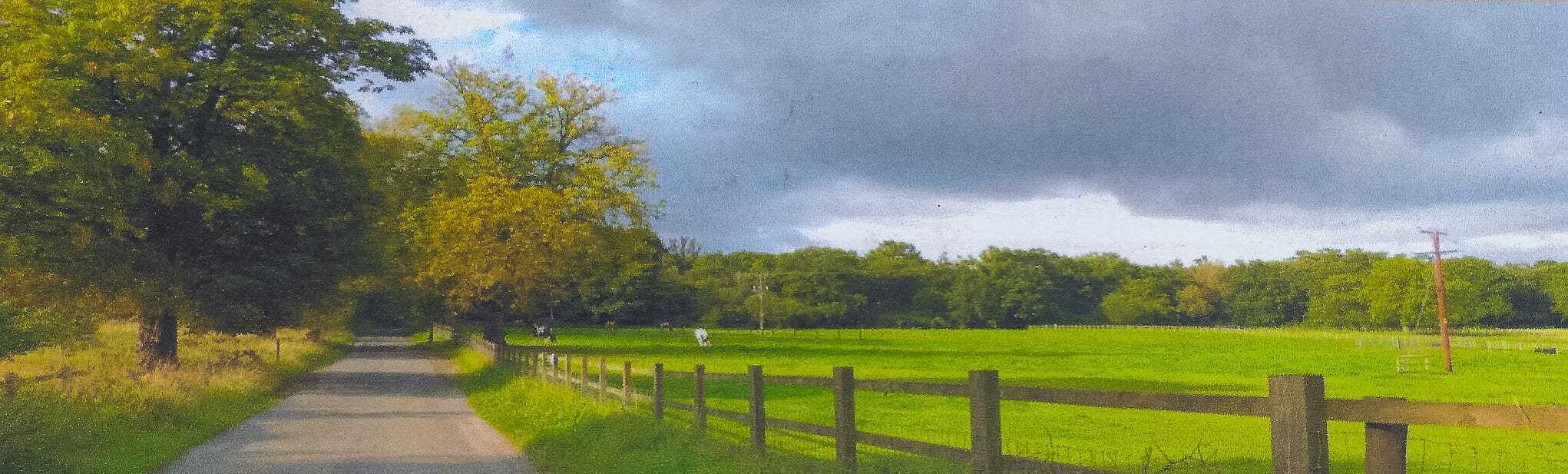 Harvest Barn: A Masterpiece of Restoration by KFM 2 Harvest Barn: A Masterpiece of Restoration by KFM 2