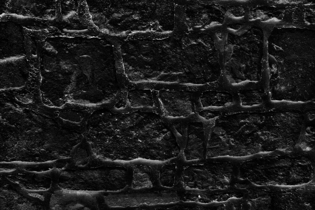 Barns for Conversion: Assessing Potential and Exploring Possibilities 2 barns for conversion