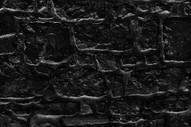 Barns for Conversion: Assessing Potential and Exploring Possibilities