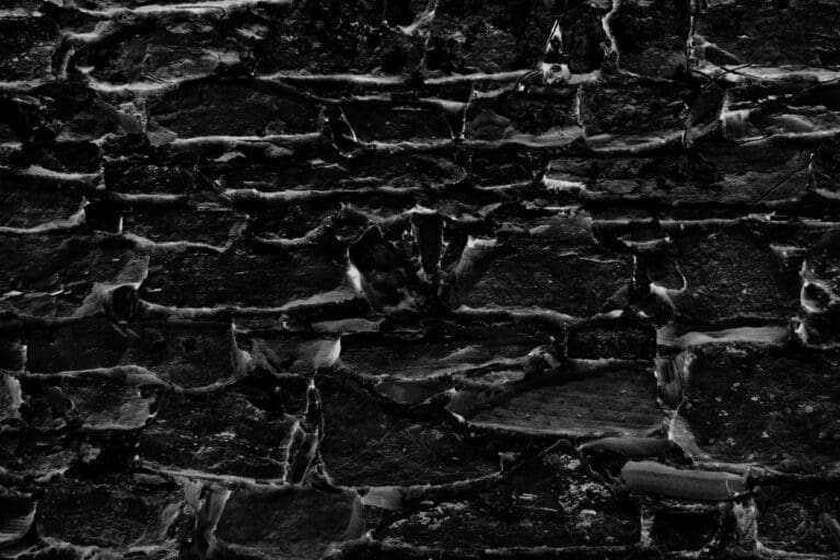 Converting Farm Buildings: A Guide to Transforming Rural Spaces into Modern Homes